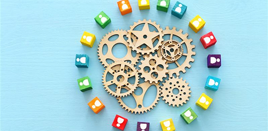 Compliance Management