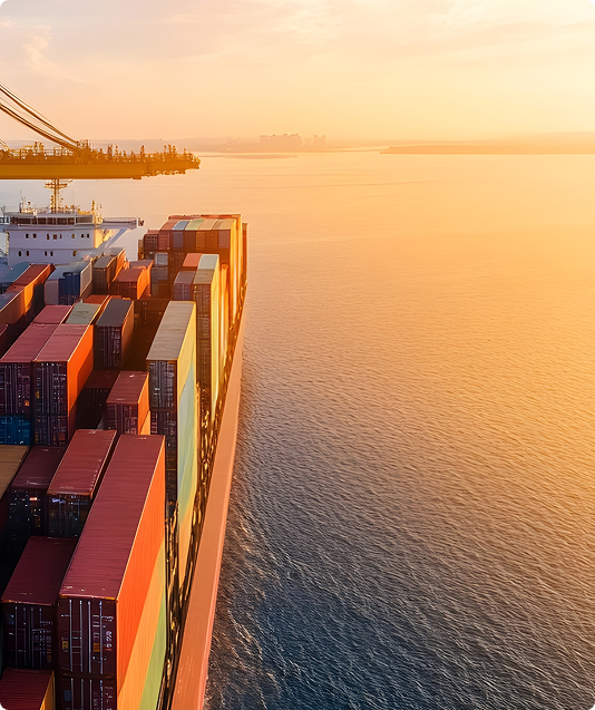 Customs & Trade Port