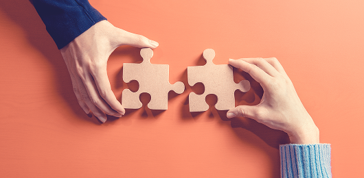 Two Hands Integrating a Puzzle